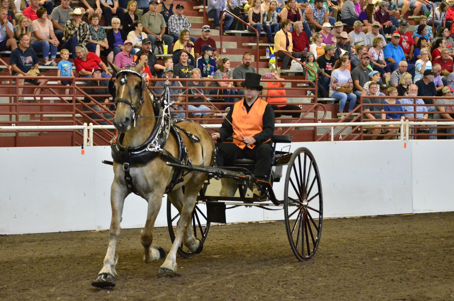 8-25-19 Draft Horse Hitch Final (29).JPG